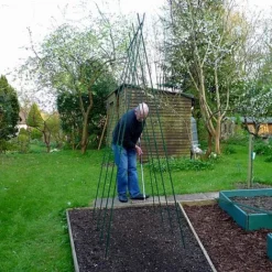 Easy Grow Runner Bean Frame & Climbing Plant Support Trellis - 0.75 X 1.2 X 2.4m H -Garden Central Sales Store GSK2156PIC3