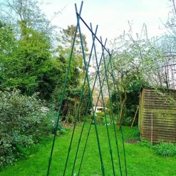 Easy Grow Runner Bean Frame & Climbing Plant Support Trellis - 0.75 X 1.2 X 2.4m H -Garden Central Sales Store GSK2156PIC4