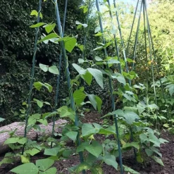 Bean Buddy Heavy Duty Runner Bean Grow Frame - 0.75 X 1.2 X 2.4m H -Garden Central Sales Store GSK2260HDPIC1