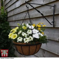Garden Grow Hanging Basket & Liner -Garden Central Sales Store HANG T82054 C