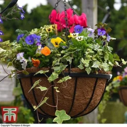 Garden Grow Hanging Basket & Liner -Garden Central Sales Store HANG T82054 D