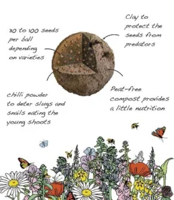 Poppy Seed Bag - 100 Balls -Garden Central Sales Store Inside20of20seedball3