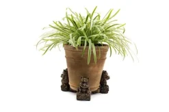 Antique Bronze Coloured Koala Potty Feet - Plant Pot Feet -Garden Central Sales Store KOALA20 20POT20 20PF0090