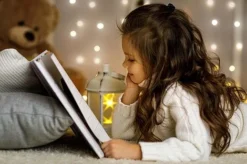 Idooka Outdoor Christmas Lights - Xmas LED Fairy Lighting IP44 Warm/Multicolour/Bright -Garden Central Sales Store Kid