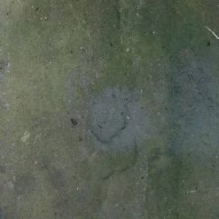 Block Blitz Eco Cleaner Multi Pave 6 Block Blitz Eco Cleaner Multi Pave -Garden Central Sales Store MP before