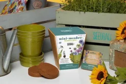 Seedball Bamboo Pots - Butterfly Mix -Garden Central Sales Store Mini20Meadow20Lifestyle20Shot1