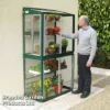 Deluxe Hampton Mini Lean-to Greenhouse Racing Green