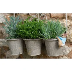 Full Colour Beatrix Potter Peter Rabbit Pot Buddy - Pot Hanger -Garden Central Sales Store PBBP0010C 2 new