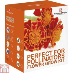 Pollinator Flowers Growing Kit -Garden Central Sales Store PERF TKA1544A D