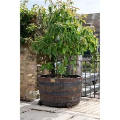 Antique Bronze Coloured Rose Potty Feet - Plant Pot Feet -Garden Central Sales Store PF0007 4 new