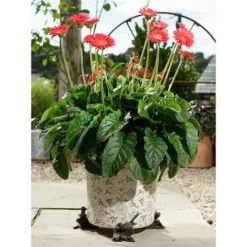 Antique Bronze Coloured Robin Potty Feet - Plant Pot Feet