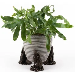 Antique Bronze Coloured Moongazing Hare Potty Feet - Plant Pot Feet -Garden Central Sales Store PF0057 4 new