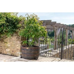 Antique Bronze Coloured Moongazing Hare Potty Feet - Plant Pot Feet -Garden Central Sales Store PF0057 5 new