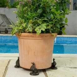 Antique Bronze Coloured Aylesbury Duck Potty Feet - Plant Pot Feet