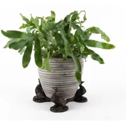 Antique Bronze Coloured Aylesbury Duck Potty Feet - Plant Pot Feet -Garden Central Sales Store PF0077 3 new