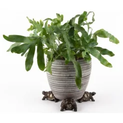 Antique Bronze Coloured Tortoise Potty Feet - Plant Pot Feet -Garden Central Sales Store PF0084 4 new