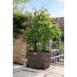 Antique Bronze Coloured Sitting Lion Potty Feet - Plant Pot Feet -Garden Central Sales Store PF0094 3 new