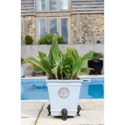 Antique Bronze Coloured Sitting Lion Potty Feet - Plant Pot Feet -Garden Central Sales Store PF0094 6 new