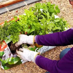 RHS SylvaGrow Peat-free Planter For Organic Growing