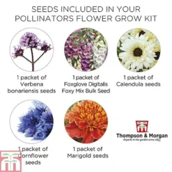 Pollinator Flowers Growing Kit -Garden Central Sales Store POLL TKA1544 E