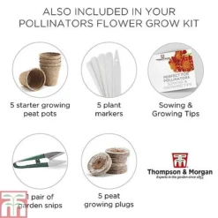 Pollinator Flowers Growing Kit -Garden Central Sales Store POLL TKA1544 F