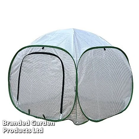 Low Poly Pop Up 1 Low Poly Pop Up