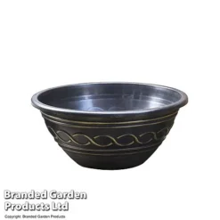Waterlily Tricolour + Pond Basket + Black And Gold Bowl -Garden Central Sales Store POND PATIOPOT T17998