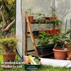 Medium Poly Pop Up (with Door) -Garden Central Sales Store POPU POLYMEDIU S41974