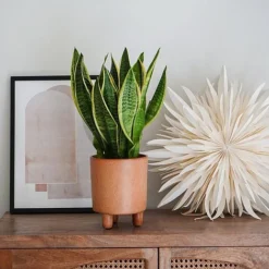 Pisa Reactive Glaze Planter Fawn H19CM D16CM -Garden Central Sales Store PRGPF16 2