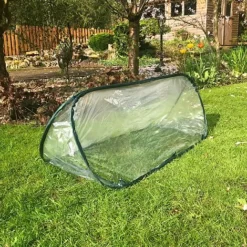 Pop Up Mini Greenhouse & Polytunnel Cloche -Garden Central Sales Store Poly20cloche201000x100020904kb