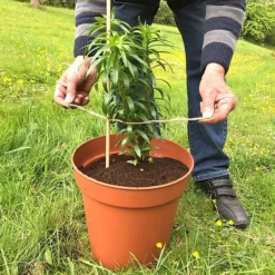 'Pot Master' Drainer Disc (packs Of 3) -Garden Central Sales Store Pot20Master201000x100020880kb