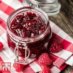 Raspberry 'Little Sweet Sister' -Garden Central Sales Store RASP RECIPE CUL