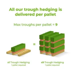 Hawthorn Instant Trough Hedge 1m (pre-grown) -Garden Central Sales Store Ready20hedges20delivery20image20tm8