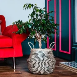 Seagrass Chevron Black Lined Basket Small H25Cm D30Cm -Garden Central Sales Store SCBB30 2