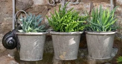 Antique Bronze Coloured Snail Pot Buddy - Pot Hanger -Garden Central Sales Store SNAIL20 20HANGING20POTS20120 20PB000820CROPPED