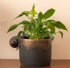 Antique Bronze Coloured Snail Pot Buddy - Pot Hanger -Garden Central Sales Store SNAIL20 20INDOOR20POT20220 20PB000820CROPPED