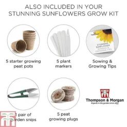 Stunning Sunflower Growing Kit -Garden Central Sales Store STUN TKA1543 F1
