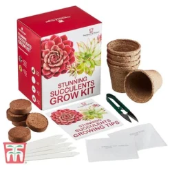 Stunning Succulents Growing Kit 5 Stunning Succulents Growing Kit -Garden Central Sales Store STUN TKA2575 C