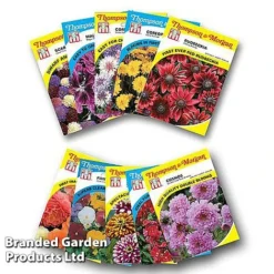 Summer Garden Plant Collection -Garden Central Sales Store SUMM KC9772 C