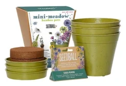 Seedball Bamboo Pots - Garden Meadow