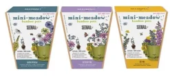Seedball Bamboo Pots - Bee Mix -Garden Central Sales Store Seedball20Mini Meadow20Pot20Range1