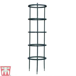 Tomato Growing Support -Garden Central Sales Store TOMA TKA6818P A