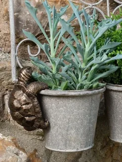 Antique Bronze Coloured Tortoise Pot Buddy - Pot Hanger -Garden Central Sales Store TORTOISE20 20HANGING20POTS20220 20CROPPED20 20PB0018