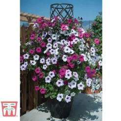 Black & Gold Tower Pot™ 7 Black & Gold Tower Pot™ -Garden Central Sales Store TOWE TKA8073 B1