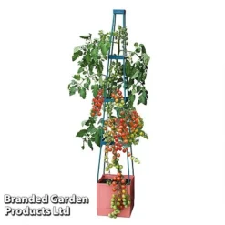 Garden Grow Self Watering Tomato Tower -Garden Central Sales Store TOWE TOMSELFWA T045925