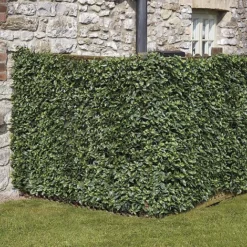 Artificial Laurel Fence -Garden Central Sales Store WEBG37126