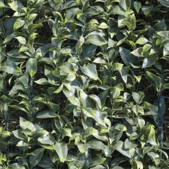 Artificial Laurel Fence -Garden Central Sales Store WEBG37127