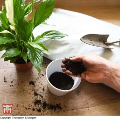 Incredicompost Peat Free Houseplant