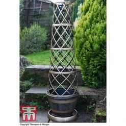 Wooden Barrel Effect Tower Pot -Garden Central Sales Store WOOD KB0330 A
