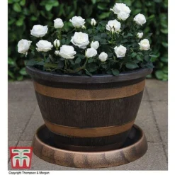 Wooden Barrel Effect Tower Pot -Garden Central Sales Store WOOD KB0330 E